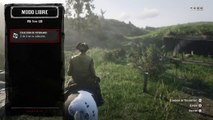 Red Dead Redemption 2 Online Localización de Objetos Colección de Veteranos