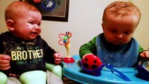 Funny Siblings Baby Fail - Fun Babies Tv