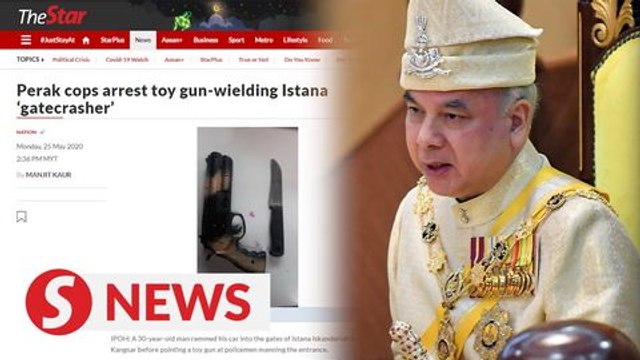 Perak cops arrest toy gun-wielding Istana gatecrasher