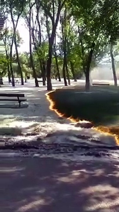 Les images surréalistes d'un incendie de pollen en Espagne