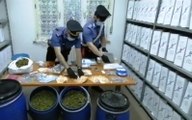 Bosa (OR) - Sorpreso con 10 chili di droga: arrestato (25.05.20)