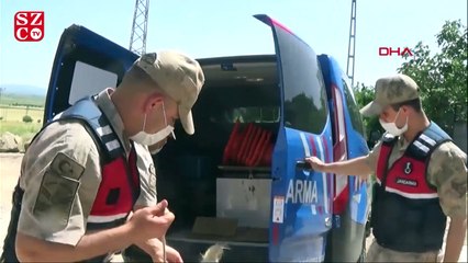 Çalınan keçisi bulundu, boynuna sarılarak öptü