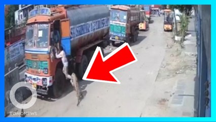 Скачать видео: Leopard VS Dog: Serang pria di Hyderabad, macan tutul dikejar anjing liar - TomoNews