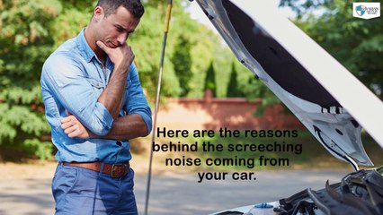 Reasons behind Loud Screeching Noise in Your Car