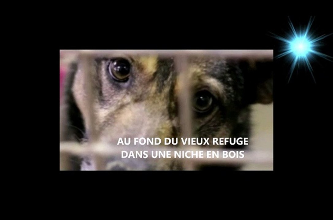 LA COMPLAINTE DU CHIEN ABANDONNE (AU FOND DU VIEUX REFUGE) - TRIBUTE A GILBERT DUMAS