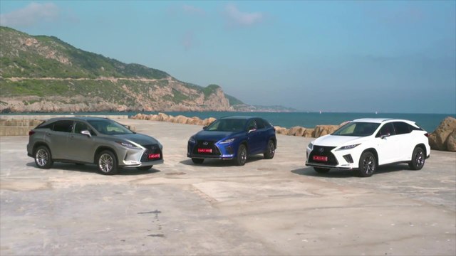 2020 Lexus RX Range Preview