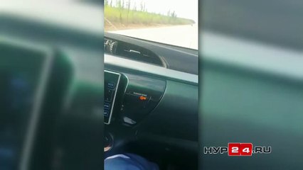 Download Video: Ils arrête sa voiture face à... un Ours !