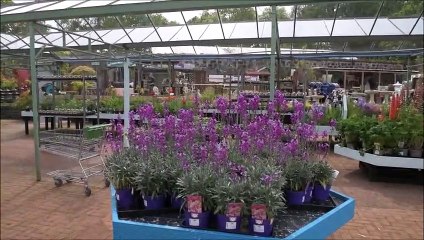 A fully stocked Torwood Garden Centre