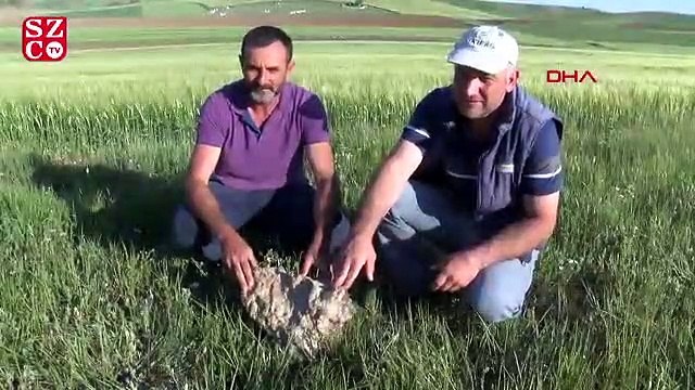 Tarlada bulduğu 'gök taşını' satılığa çıkardı
