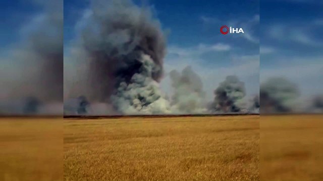- YPG/PKK 10 bin dönümden fazla tarım arazisini yaktı