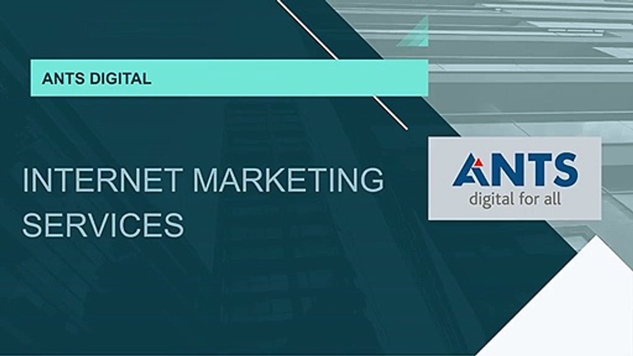 Internet Marketing Services | ANTS Digital