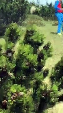 Un enfant réussit à garder son calme alors qu'il a un ours derrière lui