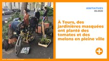 À Tours, des jardinières masquées ont planté des tomates et des melons en pleine ville