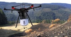 Pour reboiser des forêts, une entreprise utilise des drones capables de déposer des graines dans le sol