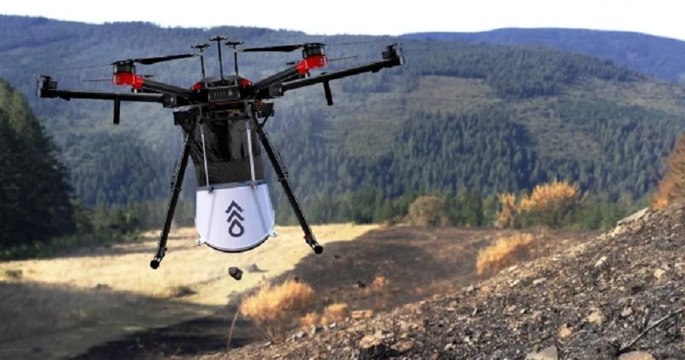 Pour reboiser des forêts, une entreprise utilise des drones capables de déposer des graines dans le sol