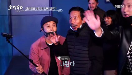 흰 돌고래 벨루가 VS 핑크 돌고래