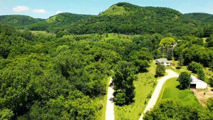 Drone view - landscape from the forest