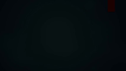 ELBET DELALER  PVT LTD