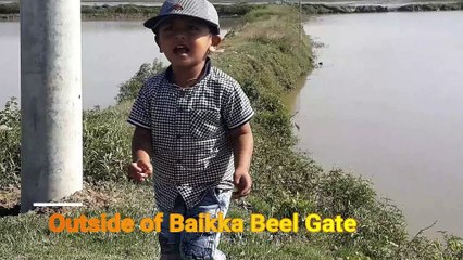 Natural Beauty of Sreemanal I Baikka Beel Wetland Sanctuary I Travel Bangladesh I বাইক্কা বিল শ্রীমঙ্গল ভ্রমন