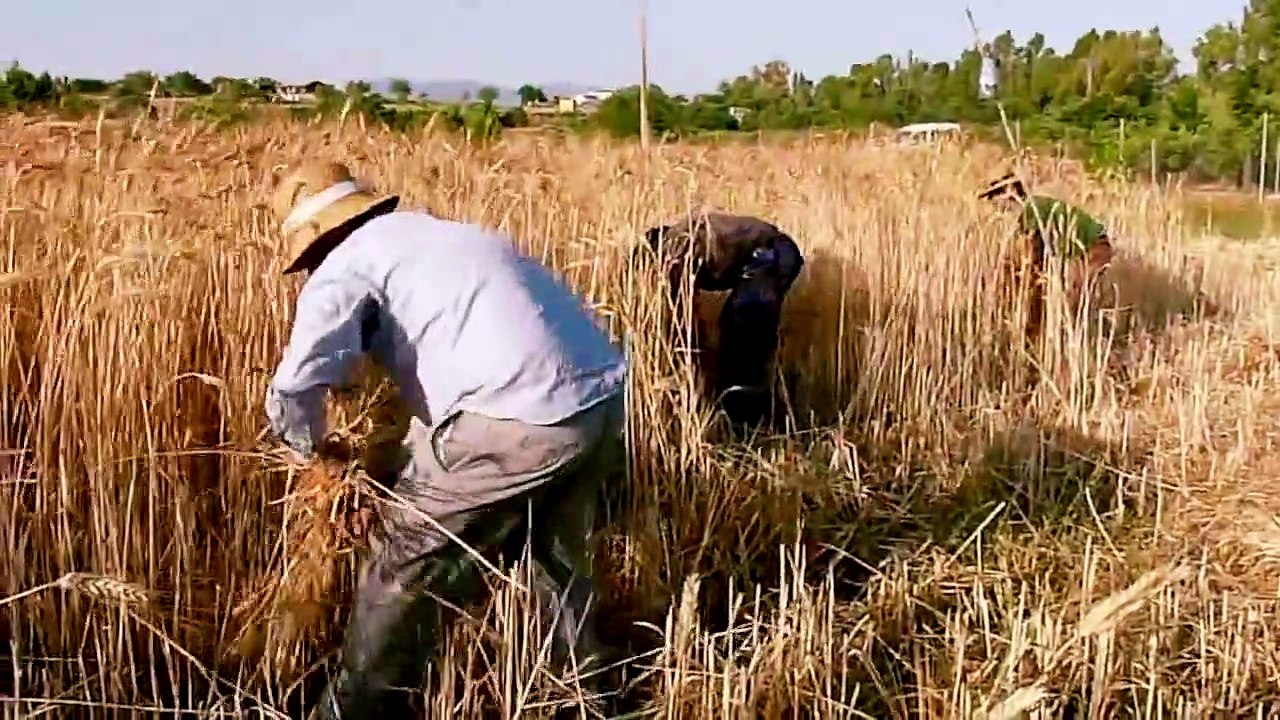 Sembrando Esperanza - El valor de la fé - Emilio Carmona, Nadia Marquez, Mario Abdo Benitez, Nayib Buyele, Josue Sanher, Alicia Vidal Cordero, Pepi Cubero Gomez, Alejandro Giammatteicc - 23.05.2020