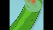Pickle Pig