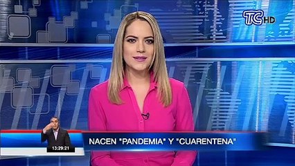 Pandemia y Cuarentena: dos pumas nacidos en un zoológico de México