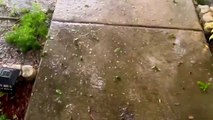 Hail Storm in Florida