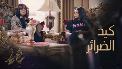 ماذا فعلت الضرائر ببعضهن؟ كيد وقصف جبهات.. جمعنا أقواهم في هذا الفيديو #الكون_في_كفة #حياك_ياعيد