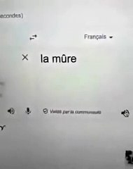 La langue française avec google traduction !