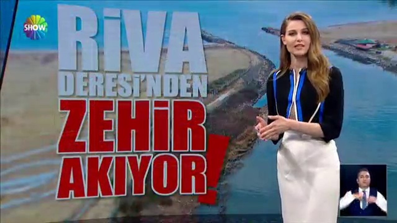 Riva Deresi'nden Zehir Akıyor! Vatandaşlar pis kokudan uyuyamıyor!
