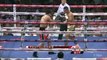 Miguel Berchelt vs Omar Estrella (02-11-2013) Full Fight