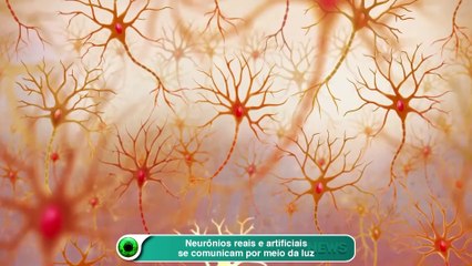 Neurônios reais e artificiais se comunicam por meio da luz