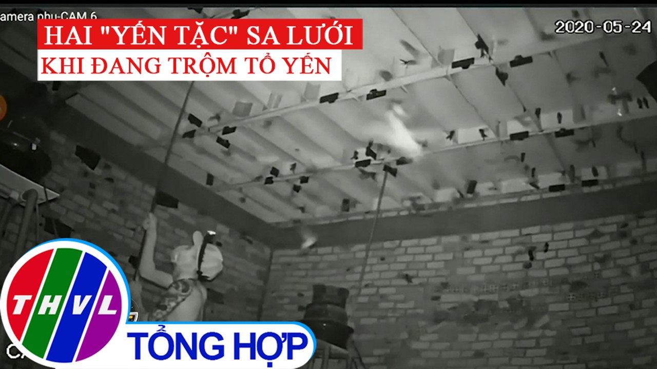 Bắt quả tang hai đối tượng đột nhập nhà yến trộm tổ yến