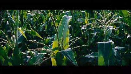 motivate yourself from today.