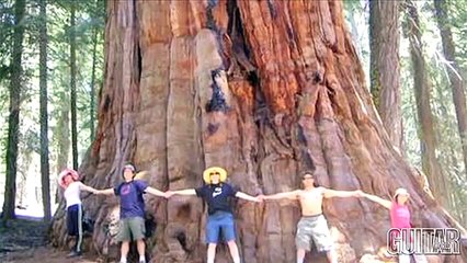 Warwick LX 4 SE Streamer Bass