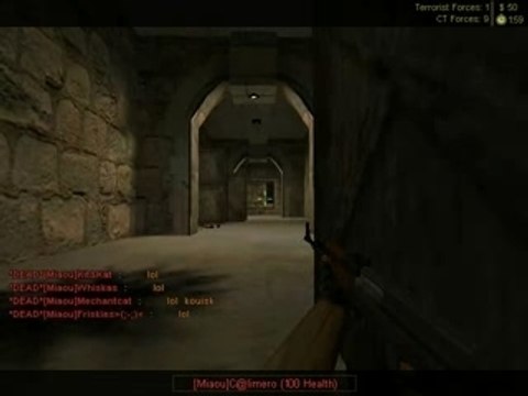 Counter Strike Délire avec calimero