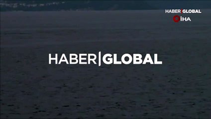 Gün doğumunda İstanbul Boğazı'nda yunuslar görüldü