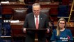 Coronavirus outbreak - Schumer tells Trump to 'keep quiet' when it comes to COVID-19-