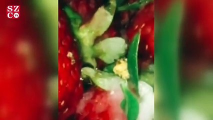 Yurtdışında başlayan 'StrawberryChallenge' herkesi şaşkına çevirdi