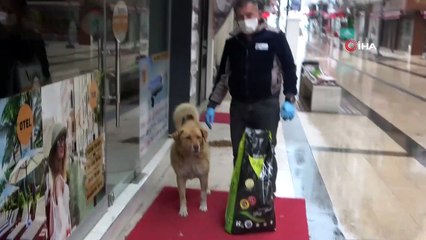 Sokak hayvanları bayramda unutulmadı