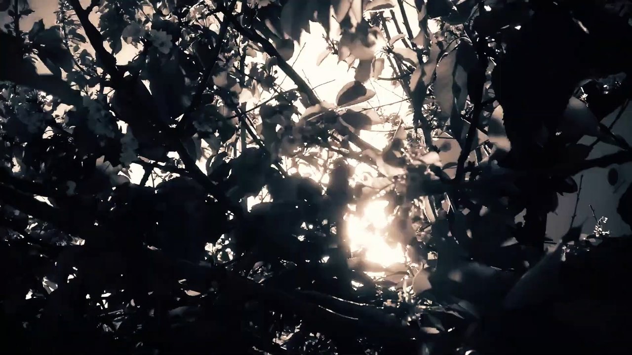 Le Vieux Chemin - Duo pianoguitare (Musique originale) | 1080p | www.vadle4.me |