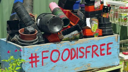 Gardening Australia episode 16 2020