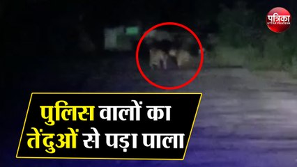 जब गस्त कर रहे पुलिस वालों का दो तेंदुओं से पड़ा पाला