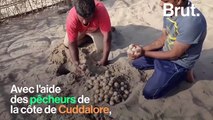 En Inde, des pêcheurs viennent en aide aux tortues de mer menacées