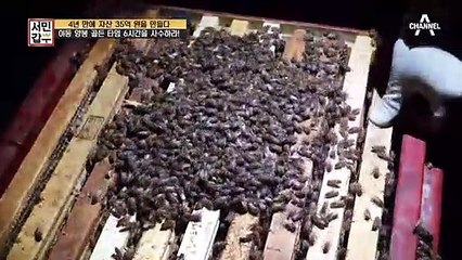 ※비상※ 6시간 안에 도착하지 않으면 벌이 모두 죽을 수 있다...?