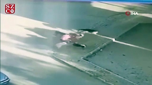 Saldırıya uğrayan köpeğini kurtarmak için köpeklerin arasına böyle daldı