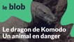 Le dragon du Komodo | Animaux en danger