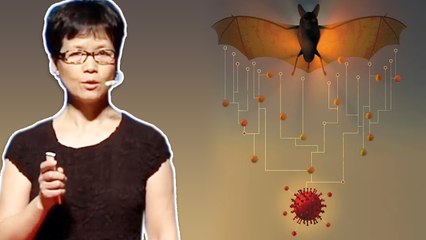 கொரோனா வைரஸ் வெறும் தொடக்கம் தான் - Bat Women எச்சரிக்கை