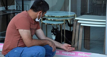 3 gün mağazada mahsur kalan kedi kurtarıldı