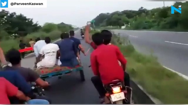 Viral video: Buffalo throws riders off cart, Twitter says 'karma delivers right on time'